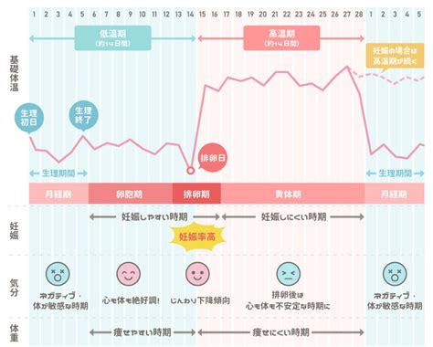 安全日と危険日の計算ツール 